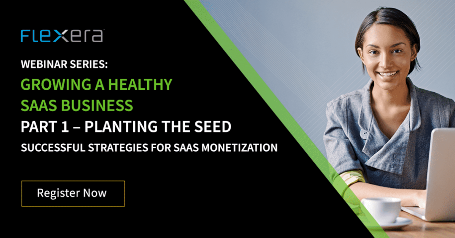 Webinar: Successful Strategies for SaaS Monetization