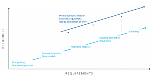 Homegrown Software Licensing? Your Competitors are Smiling