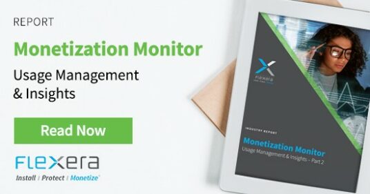 Monetization Monitor: Usage Management and Insights
