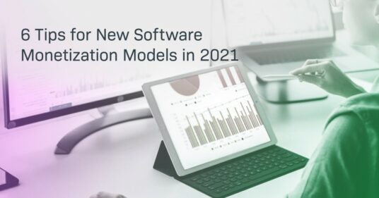 6 Tips for New Software Monetization Models in 2021