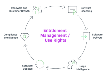 A holistic solution for Software Monetization and Usage Analytics