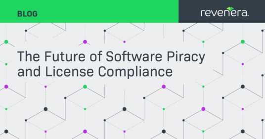 The Future of Software Piracy and License Compliance