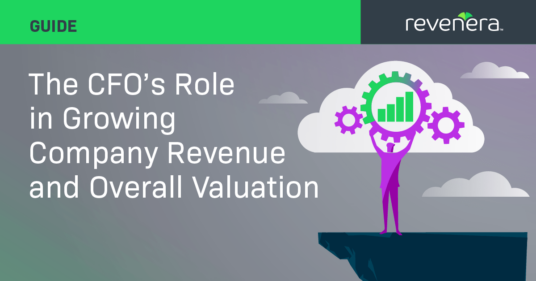 The CFO’s Role in Growing Company Revenue and Overall Valuation