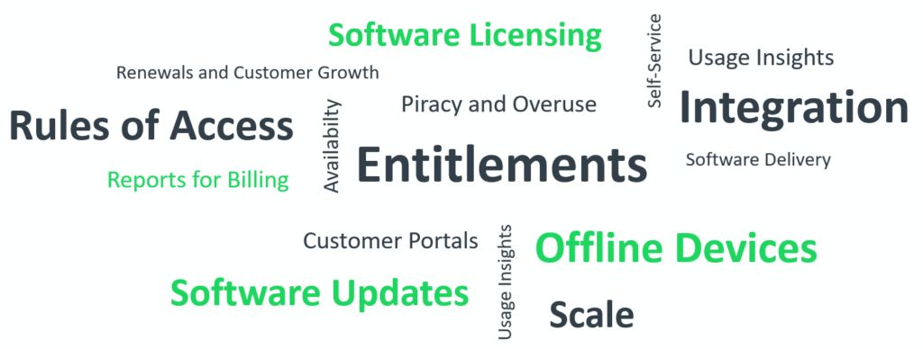 Word cloud outlining the required capabilities for software monetization solutions.