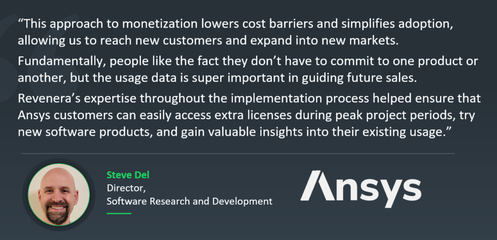 Steve Del's quote on the usage-based pricing strategy at Ansys.