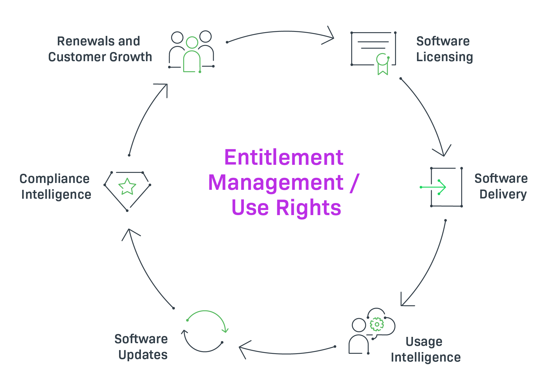 A holistic solution for Software Monetization and Usage Analytics