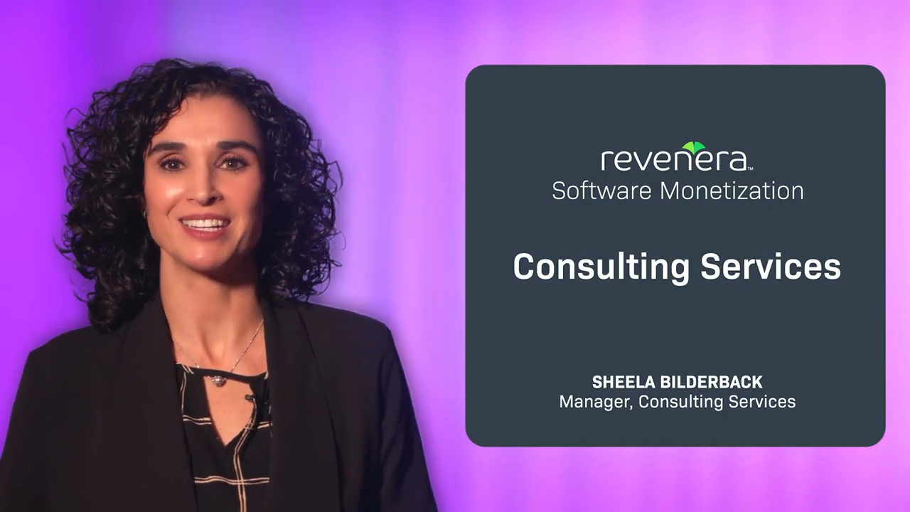 Revenera Consulting Services