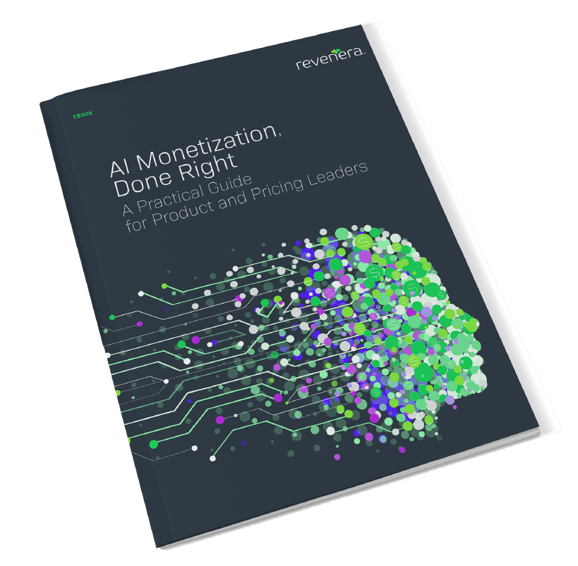 Cover image for the AI Monetization, Done Right eBook.